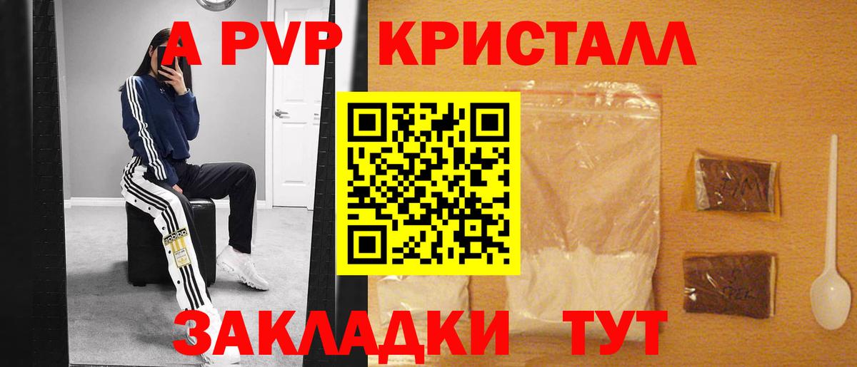A PVP СК КРИС Сосновоборск