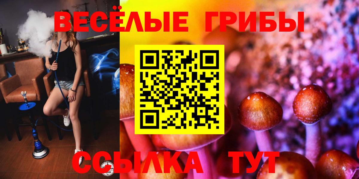 Сосновоборск  Галлюциногенные грибы мицелий  Галлюциногенные грибы мицелий  что такое наркотик  Вход с VPN 